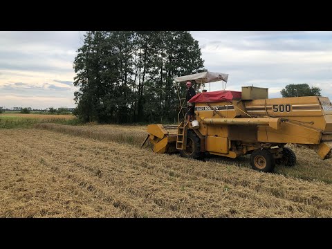 Видео: Sampo-500 на збиранні врожаю пшениці на городі