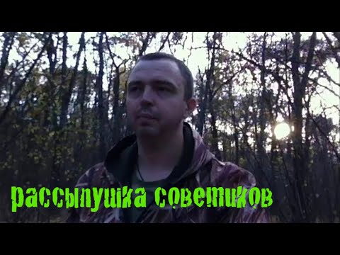 Видео: В поиске советов в городском лесу | Удачно прошёлся по тропе