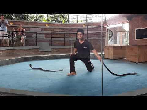 Видео: Вьетнам. Обзорная экскурсия