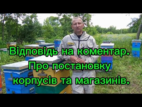 Видео: Відповідь на коментар, розширення сімей, постановка корпусів та магазинів на медозбір.