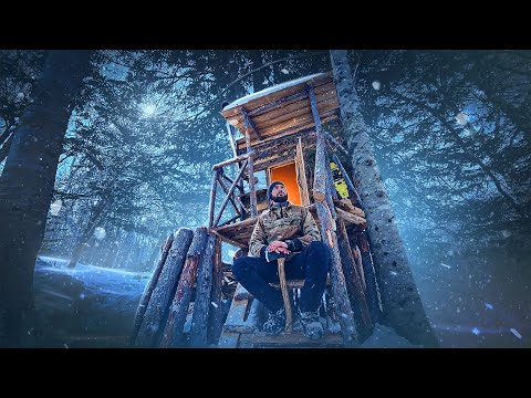 Видео: УКРЫЛСЯ в ДОМЕ НА ДЕРЕВЕ - НОЧЬ в ГЛУХОМ ЛЕСУ | СТРОЮ БОЛЬШОЙ ЛЕСНОЙ ДОМ
