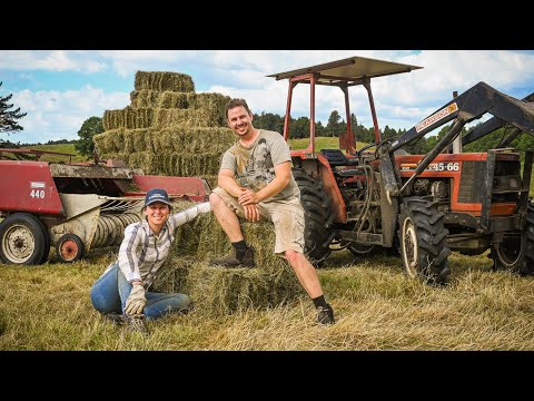 Видео: Как мы заготавливаем сено в сельской местности Новой Зеландии | ПОЛНЫЙ ПРОЦЕСС
