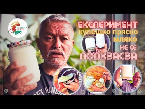 Видео: Прясното мляко от магазина не се подквасва. Сравнение между фермерско и купешко кисело мляко. Вижте!