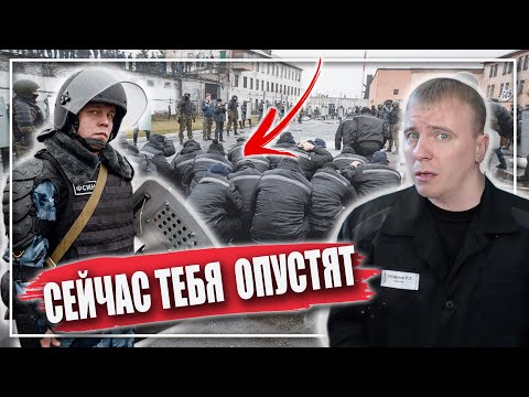 Видео: КАК ВСТРЕЧАЮТ НА ЗОНЕ НОВИЧКОВ