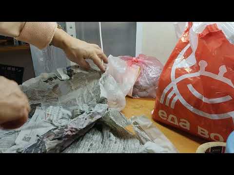 Видео: 1. Метод бурито, зимнее черенкование розы. Проверка черенков