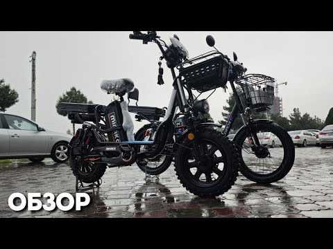 Видео: Мукоисаи 2 Бехтарин Электро-Велик Дар 2025 [ОБЗОР Minako ва Tlyachi]