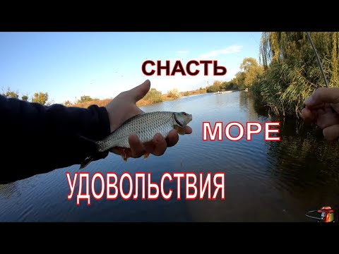 Видео: ЛОВЛЯ ПЛОТВЫ И ОКУНЯ НА МОРМЫШИНГ ОСЕНЬЮ