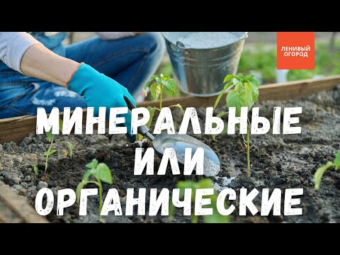 Видео: Какие удобрения выбрать: минеральные или органические удобрения | Лучшее удобрение для огорода