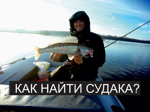 Видео: Поиск Судака по Эхолоту Практик #СЕКРЕТЫЧЕМПИОНА