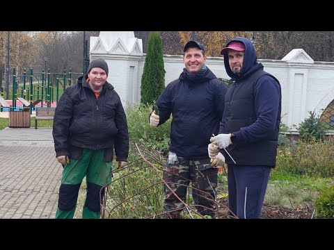 Видео: Один день из жизни садовника (25 октября 2025г)