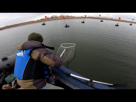 Видео: Не ожидал такой рыбалки! Расставил жерлицы и был в Шоке! 