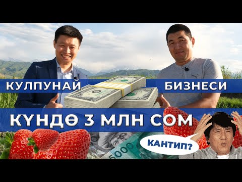 Видео: Мурунку АЙЫЛ чарба МИНИСТРИ Тилек ТОКТОГАЗИЕВ конокко келди!