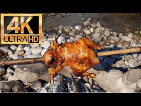 Видео: Bushcraft cooking | The best way to cook chicken | Пиле на чеверме