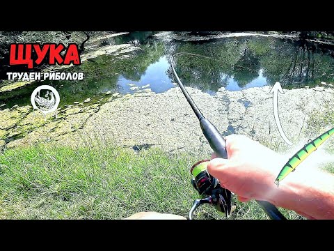 Видео: Най-трудният риболов от началото на сезона за щука