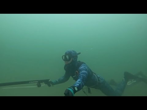 Видео: Подводная охота