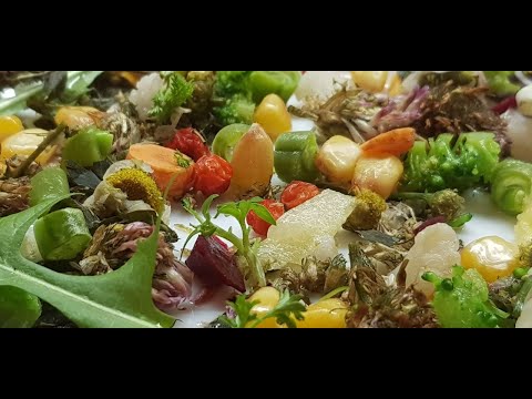 Видео: ПРАВИЛЬНОЕ ПИТАНИЕ ПОПУГАЯ КВАКЕРА ЦИРКОВАЯ ДИЕТА. ФРУКТЫ И ОВОЩИ / Proper nutrition for the parrot