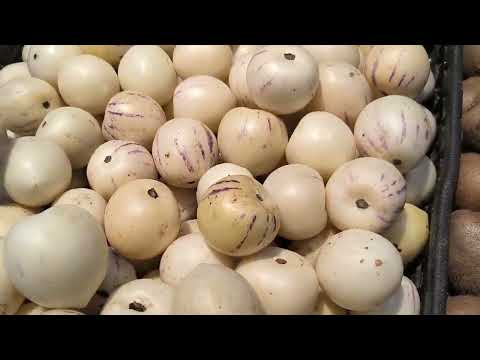 Видео: Отель South china Хайнань