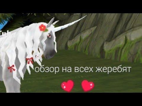 Видео: обзор на всех жеребят в Horse Paradise!