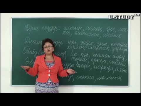Видео: ҰБТ-ға дайындық (қазақ тілі): Қолдану аясы шектеулі сөздер
