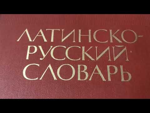 Видео: Грачёв Вадим Сергеевич. Обзор моей домашней библиотеки. Часть 29. Словари.