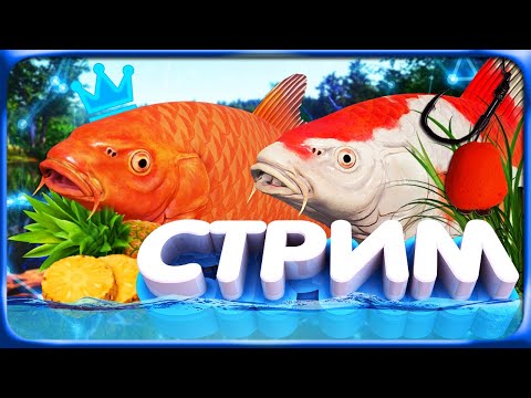 Видео: РР4 СТРИМ • КАРПФИШИНГ на ЯНТАРНОМ и МЕДНОМ ОЗЕРЕ - ФАРМ и ТРОФЕИ!
