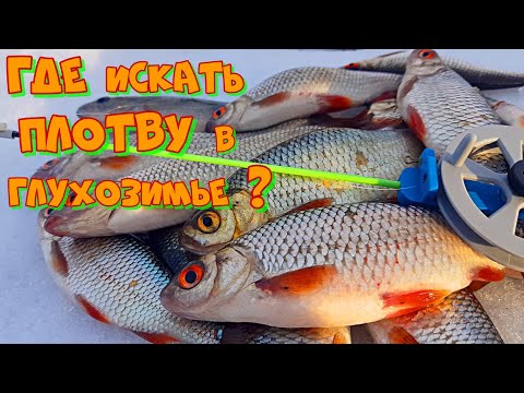 Видео: Ловля ПЛОТВЫ ЗИМОЙ на МОРМЫШКУ ! Зимняя Рыбалка на БЕЗМОТЫЛКУ в Феврале .