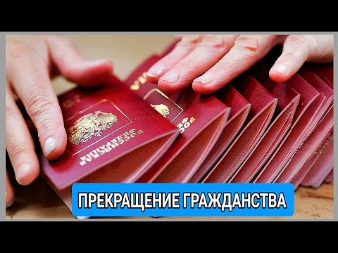 Видео: В РФ приняли более 2,8 тысячи решений о прекращении приобретенного гражданства.