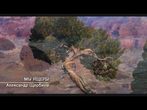 Видео: Александр Щербина. Мы ящеры (2023)