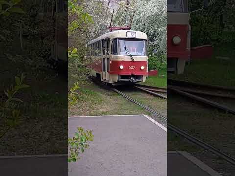 Видео: трамвай Екатеринбург татра т3 сме