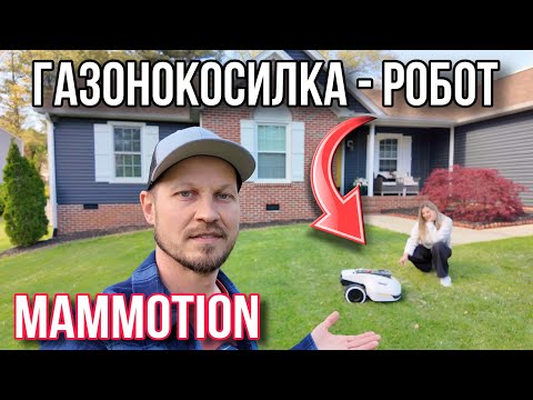 Видео: У нас появился помощник / Газонокосилка mammotion