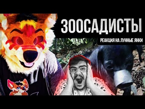 Видео: ▷ ФУРРИ-САДИСТЫ (Kero the Wolf/Zoosadist Evidence) l РЕАКЦИЯ на Лунные Янки