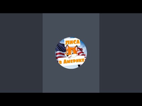 Видео: Атака МОШЕННИКОВ! Это ужас! Как так можно? Готовлю борщ/Лиса в Америке/Стрим/Прямой эфир/США/Флорида