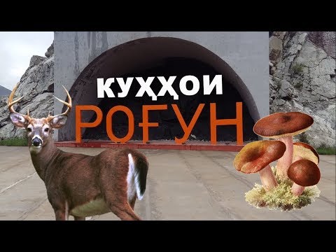 Видео: Куххои Рогун Оху Сайд Бузи Кухи Хоч Чукри Торон!