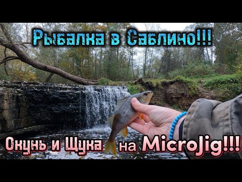 Видео: Окунь и Щука на MicroJig!!! | Рыбалка в Саблино!!!