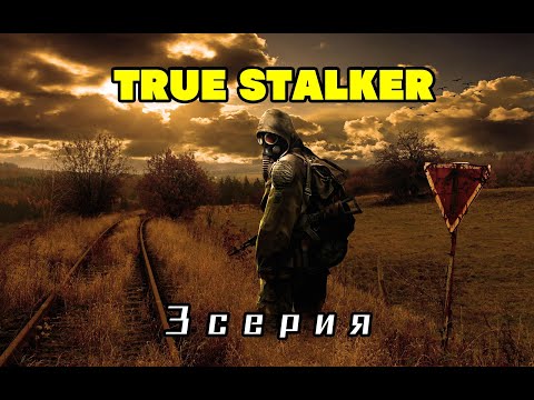 Видео: TRUE STALKER 3 серия