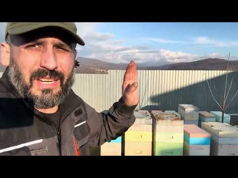 Видео: Доробив роботи на пасіці 10 бджолородин під питанням