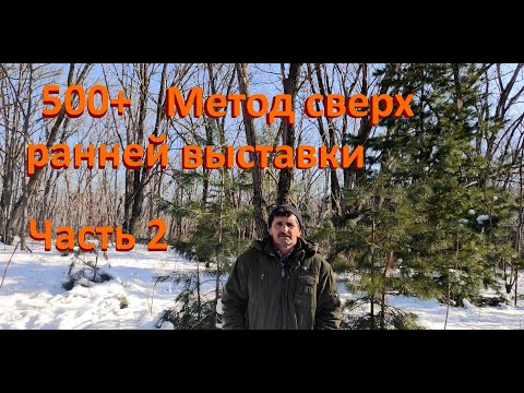 Видео: 500+ Про сверхраннюю выставку и ответы на комментарии. Часть 2