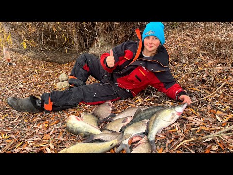 Видео: НАРВАЛАСЬ НА КРУПНОГО ЛЕЩА! Рыбалка с ночевкой осенью 