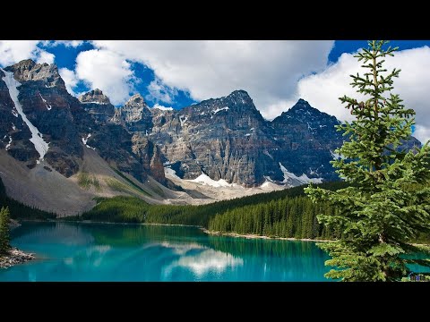 Видео: интересные стихи часть 26