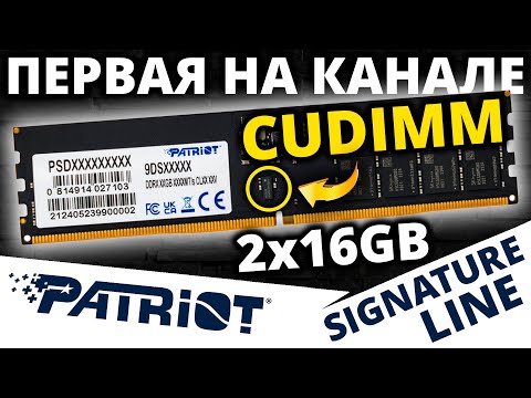 Видео: CUDIMM DDR5 - обзор Patriot Memory Signature Line 16GB 6400 CL52 (PSD516G64081C)