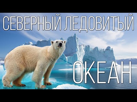 Видео: Северный Ледовитый океан: Самый маленький океан | Интересные факты про Северный Ледовитый океан