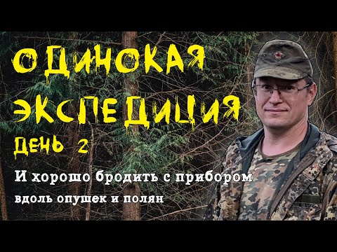 Видео: Владимирcкие леса, одиночная экспедиция, день 2!