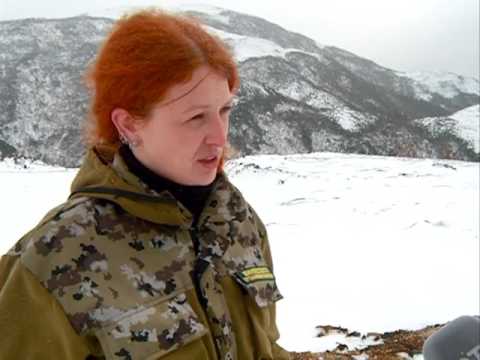 Видео: Заповедный Сахалин. Заказник Северный.