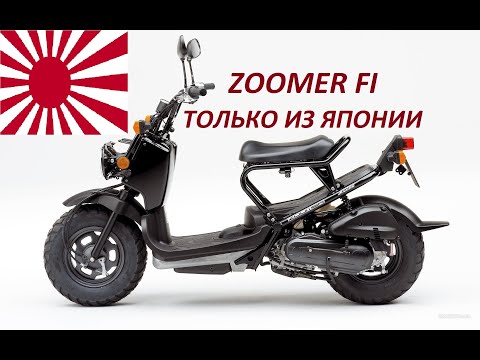 Видео: Покупка Honda Zoomer только из Японии!