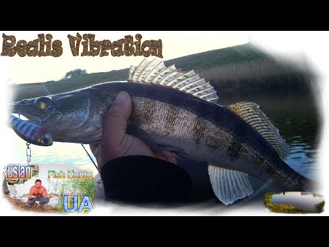 Видео: ВОБЛЕР- ЛУЧШИЙ  ! КОТОРЫЙ ВЫРУЧИЛ И НА ЭТОЙ РЫБАЛКЕ !