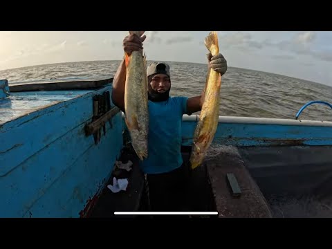 Видео: Ловля бесконечной форели!!!