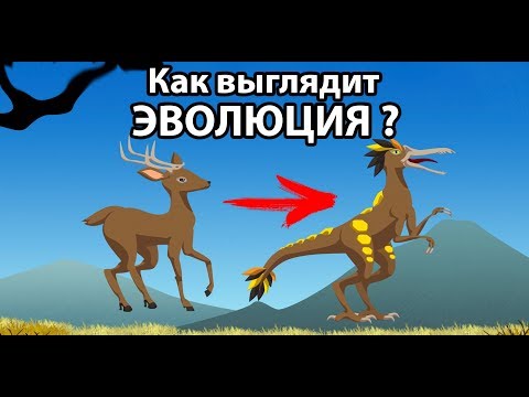 Видео: Как выглядит ЭВОЛЮЦИЯ ? ( Miscreation )