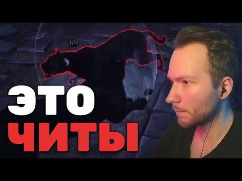 Видео: Сильнейший Друид Проигрывает Мухе | Dungeonborne №5