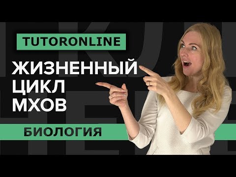 Видео: Биология | Жизненный цикл мхов