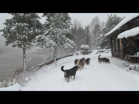 Видео: Зима вернулась на Урал 29апреля.